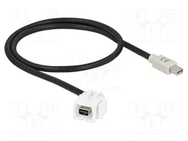 DeLOCK Módulo Keystone mini DisplayPort hembra a macho con cable, blanco