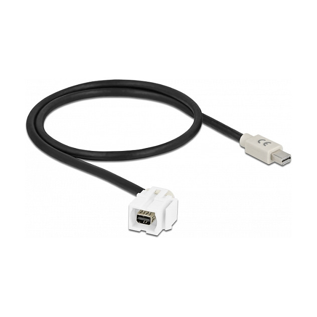 DeLOCK Módulo Keystone mini DisplayPort hembra a mini DisplayPort macho con cable blanco DeLOCK Módulo Keystone mini DisplayPort hembra a mini DisplayPort macho con cable blanco