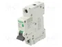 SCHNEIDER ELECTRIC EZ9F57113 Interruptor magnetotérmico 13A 1 Polo 6kA