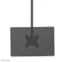 Neomounts CL35-340BL12 Soporte de Techo para TV/Monitor 23-42" (106-156 cm) - Giratorio 360°, Inclinación -25°, VESA 200x200, Negro