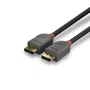 Lindy Anthra Line Cable DisplayPort 1.4 0,5 m Negro