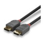 Lindy Anthra Line Cable DisplayPort 1.4 0,5 m Negro