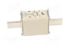 DF ELECTRIC Fusible NH1 de Cerámica 315A 500VAC gG