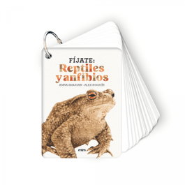 MTM Fíjate: reptiles y anfibios