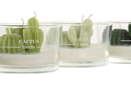 DKD Home Decor Vela Tropical Blanco Verde Cera Parafina Cristal 10 x 6 x 10 cm (12 Unidades)