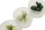 DKD Home Decor Vela Tropical Blanco Verde Cera Parafina Cristal 10 x 6 x 10 cm (12 Unidades)