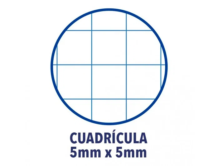 Oxford Recambio de Cuaderno Turquesa A4+ 80 Hojas Cuadriculado 5x5 Oxford Recambio de Cuaderno Turquesa A4+ 80 Hojas Cuadriculado 5x5