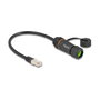 DeLOCK Cable Ethernet Cat.6a RJ45 Macho a Hembra IP68 25 cm