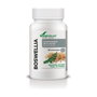 MGDOSE Boswellia 30 comprimidos