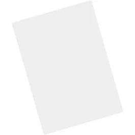 Zebra MISC-MC93-SCRN-01 Protector de pantalla de vidrio templado para Zebra MC93, transparente