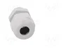 OBO BETTERMANN Sello aislante V-TEC PG9 Gris Claro