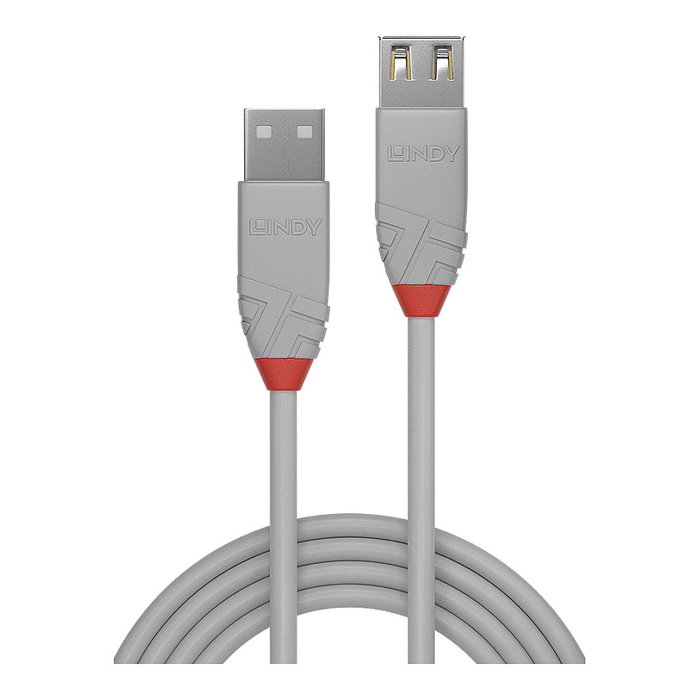 Lindy 36712 Cable USB 2.0 de 1 m, USB A a USB A, Gris