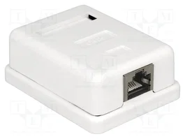 DeLOCK 86169 Toma de red de 1 puerto Cat.6 RJ-45 Blanco
