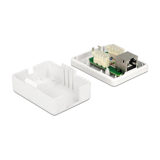 DeLOCK 86169 Toma de red 1 puerto Cat.6 RJ-45 Blanco DeLOCK 86169 Toma de red 1 puerto Cat.6 RJ-45 Blanco