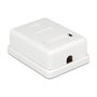 DeLOCK 86169 Toma de red 1 puerto Cat.6 RJ-45 Blanco