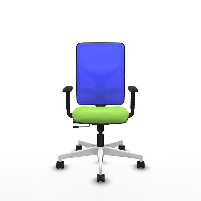 PIQUERAS Y CRESPO Silla de oficina Motilla con mecanismo Sincro/Traslack, Pistacho y Azul