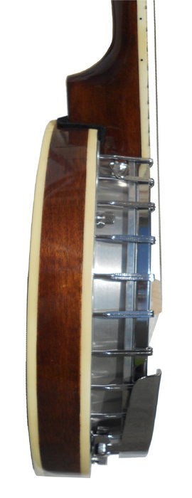Banjo Daytona Bj5Mp