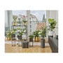 GARDENA 13366-20 Sistema de Riego por Goteo 36 Goteros, Regulador de Presión, Incluye Tope Manguera 30 m, Negro