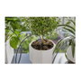 GARDENA 13366-20 Sistema de Riego por Goteo 36 Goteros, Regulador de Presión, Incluye Tope Manguera 30 m, Negro