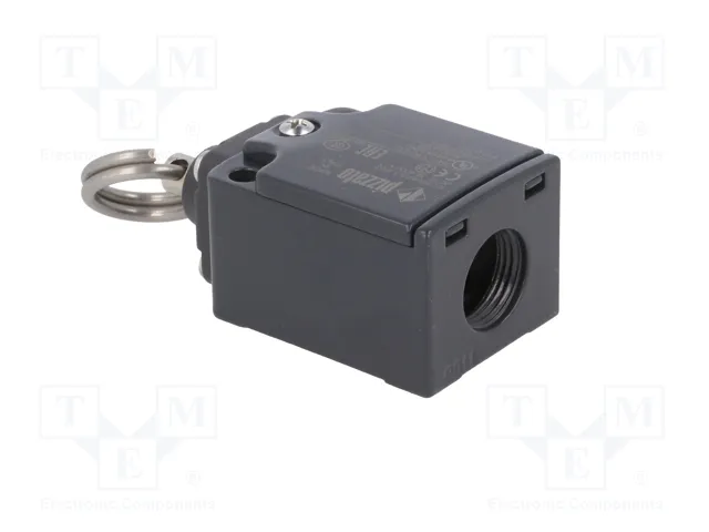 PIZZATO ELETTRICA FC 376 Interruptor de fin de carrera con anillo, NO + NC PIZZATO ELETTRICA FC 376 Interruptor de fin de carrera con anillo, NO + NC