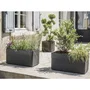 EDA - Macetero grande con ruedas para interior/exterior, 80 cm de altura, 78 x 39 x281 cm, 63 L, color topo - EDA1751465964353