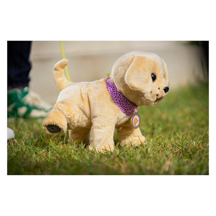 Zapf Creation BABY born My Dog Lucky con caja Zapf Creation BABY born My Dog Lucky con caja