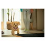 Zapf Creation BABY born My Dog Lucky con caja