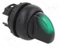 EATON ELECTRIC Interruptor rotativo verde 22mm 3 posiciones