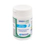 NUTERGIA ERGYLASE Plus 40 cápsulas