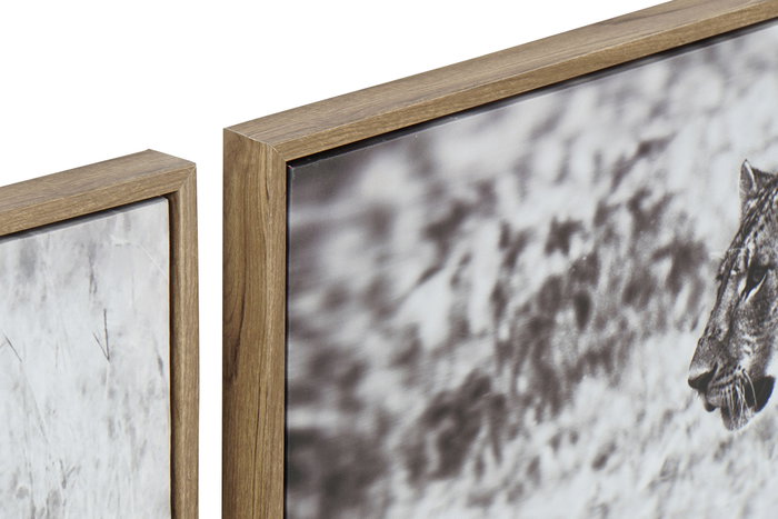 DKD Home Decor Cuadro Lienzo PP Salvaje Surtido de 3 piezas 92,5x3,5x32 cm