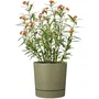 GARDEN ID Maceta redonda con depósito, Plano, Ø39 cm, 32L, H38 cm, Color Verde musgo