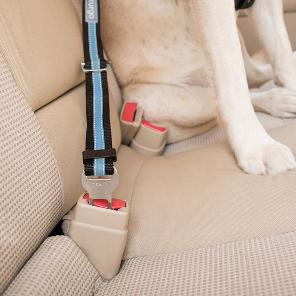 Petsafe Kurgo Adaptador Cinturón de Seguridad Negro/Azul Petsafe Kurgo Adaptador Cinturón de Seguridad Negro/Azul