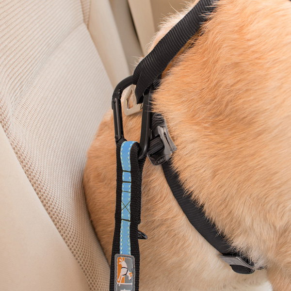 Petsafe Kurgo Adaptador Cinturón de Seguridad Negro/Azul Petsafe Kurgo Adaptador Cinturón de Seguridad Negro/Azul