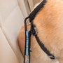 Petsafe Kurgo Adaptador Cinturón de Seguridad Negro/Azul