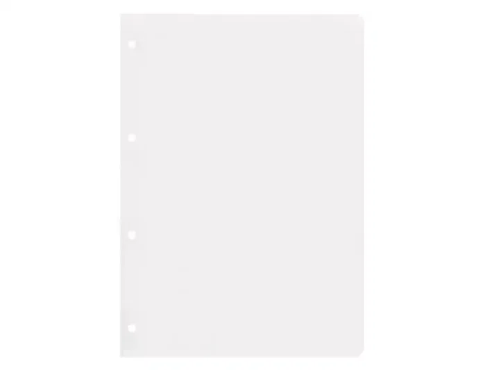 Liderpapel Recambio DIN A4 100 Hojas 75g Liso Sin Margen 4 Taladros