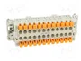 ILME CSHM 24 Conector HDC Macho de 24 Pines