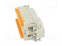 ILME CSHM 24 Conector HDC Macho de 24 Pines