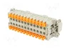 ILME CSHM 24 Conector HDC Macho de 24 Pines