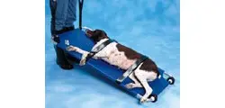 Kruuse Camilla Buster para Animales con Ruedas, Fácil Movilidad, Cintas de Velcro, Medidas 120 x 50 cm