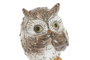 DKD Home Decor Figura de Búho en Resina, Surtida, Marrón