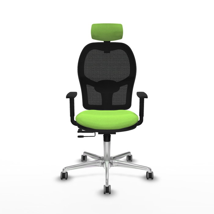 PIQUERAS Y CRESPO Silla de oficina Jorquera con mecanismo Sincro/Traslack, Pistacho y Negro PIQUERAS Y CRESPO Silla de oficina Jorquera con mecanismo Sincro/Traslack, Pistacho y Negro