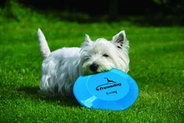 Freedog Accesorio para Perros 23 cm