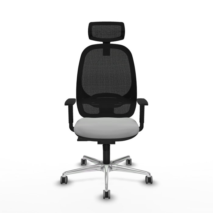 PIQUERAS Y CRESPO Silla de oficina Cilanco con mecanismo Sincro, Gris claro y Negro PIQUERAS Y CRESPO Silla de oficina Cilanco con mecanismo Sincro, Gris claro y Negro