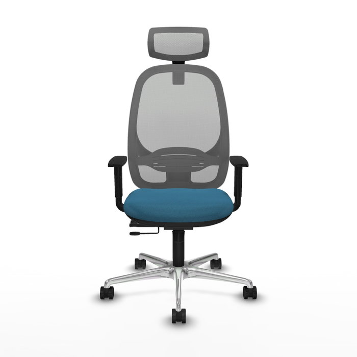 PIQUERAS Y CRESPO Silla de oficina Cilanco con mecanismo Sincro/Traslack Verde petróleo y Gris PIQUERAS Y CRESPO Silla de oficina Cilanco con mecanismo Sincro/Traslack Verde petróleo y Gris