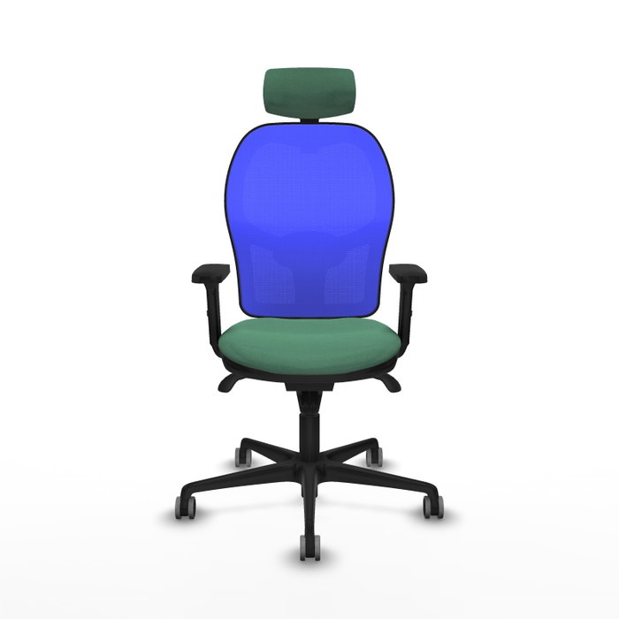 PIQUERAS Y CRESPO Silla de oficina Jorquera con mecanismo Sincro, Tela Verde esmeralda y Malla Azul PIQUERAS Y CRESPO Silla de oficina Jorquera con mecanismo Sincro, Tela Verde esmeralda y Malla Azul