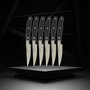 Nirosta Juego de 6 cuchillos para carne - 22 cm