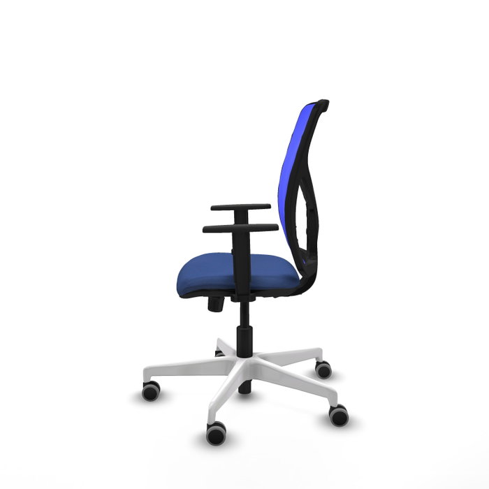 PIQUERAS Y CRESPO Silla de oficina Motilla con mecanismo Sincro, Azul PIQUERAS Y CRESPO Silla de oficina Motilla con mecanismo Sincro, Azul