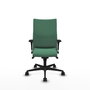 PIQUERAS Y CRESPO Silla Albacete Confidente Verde Esmeralda Mecanismo Sincro Brazos 1D
