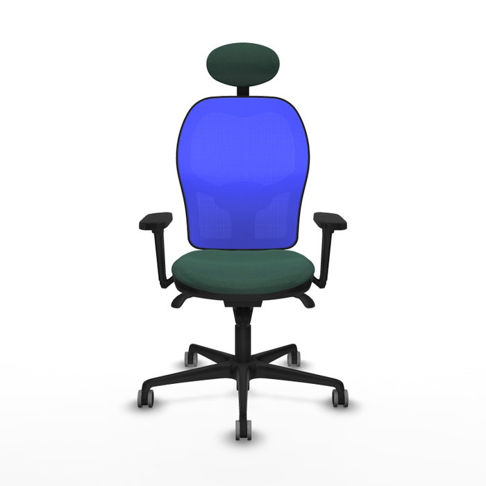 PIQUERAS Y CRESPO Silla de oficina Jorquera con mecanismo sincro, tela verde botella y malla azul PIQUERAS Y CRESPO Silla de oficina Jorquera con mecanismo sincro, tela verde botella y malla azul