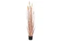 DKD Home Decor Planta de Junco Coral 45x45x145 cm